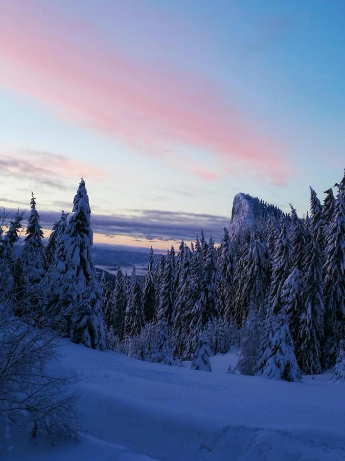 Elitza Villa Pamporovo Eksteriør billede