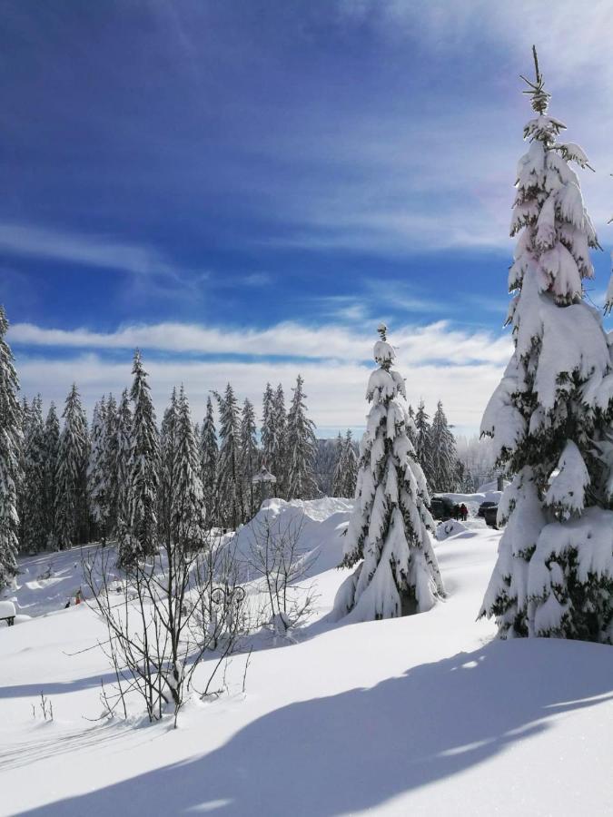 Elitza Villa Pamporovo Eksteriør billede