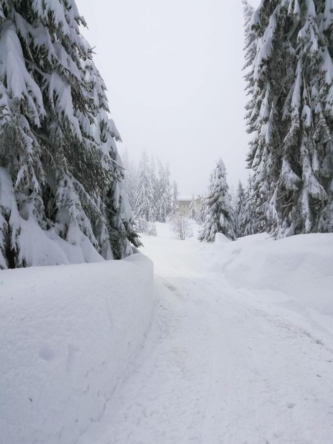 Elitza Villa Pamporovo Eksteriør billede
