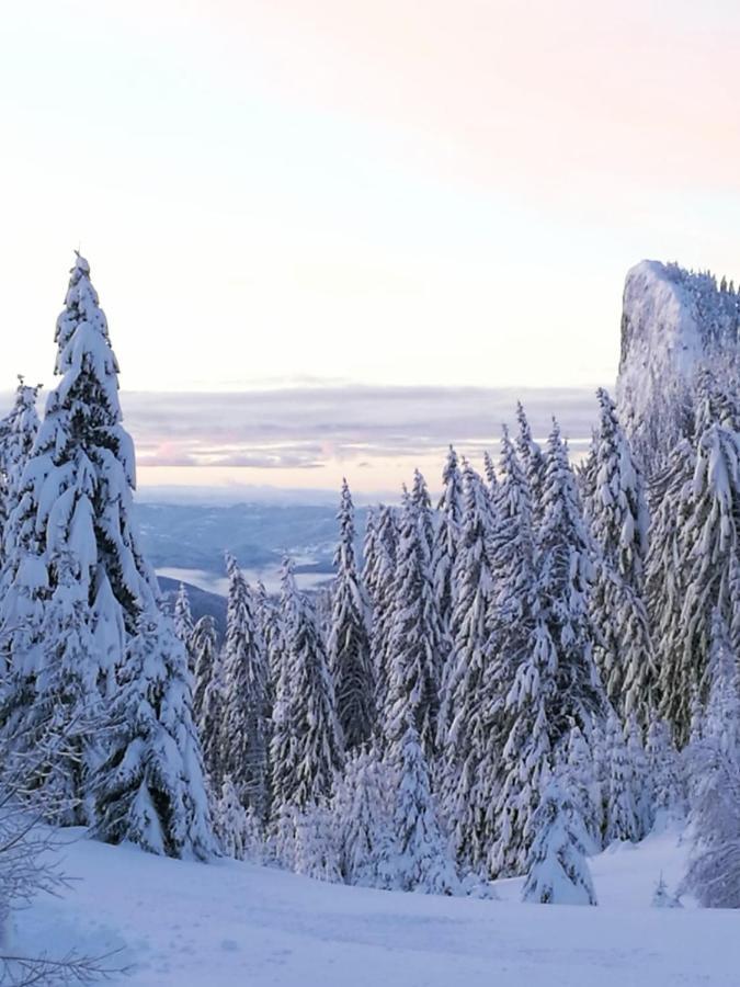 Elitza Villa Pamporovo Eksteriør billede