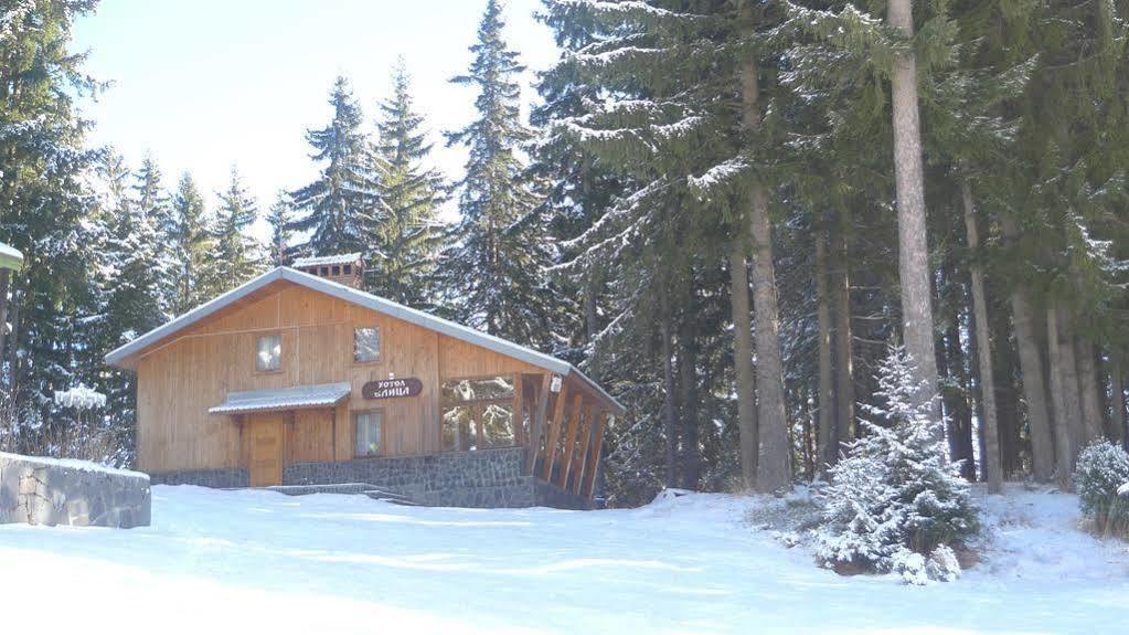 Elitza Villa Pamporovo Eksteriør billede