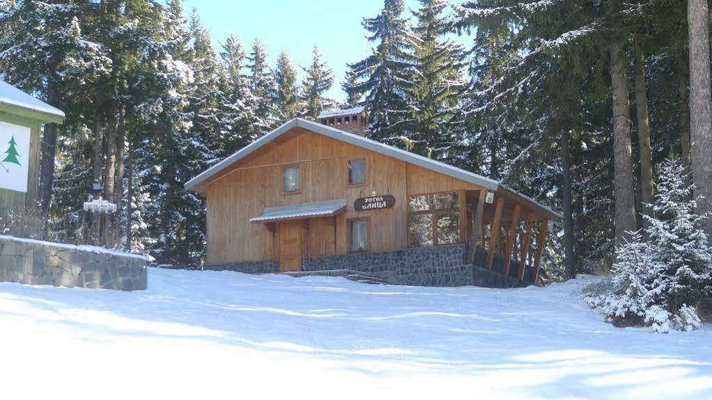 Elitza Villa Pamporovo Eksteriør billede