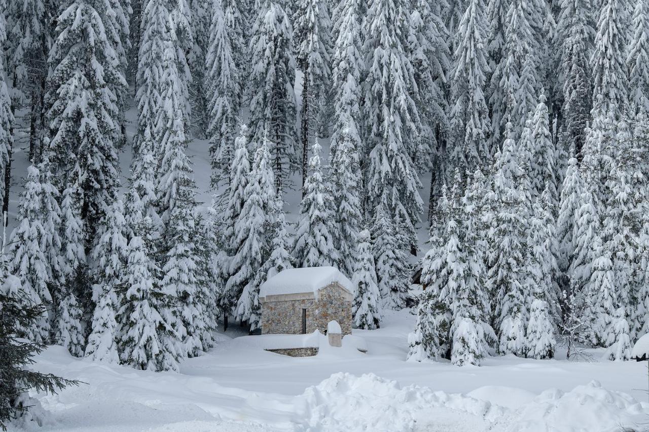 Elitza Villa Pamporovo Eksteriør billede
